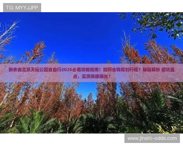 波胆内料是真的吗彩票高频玩法防骗避坑指南
